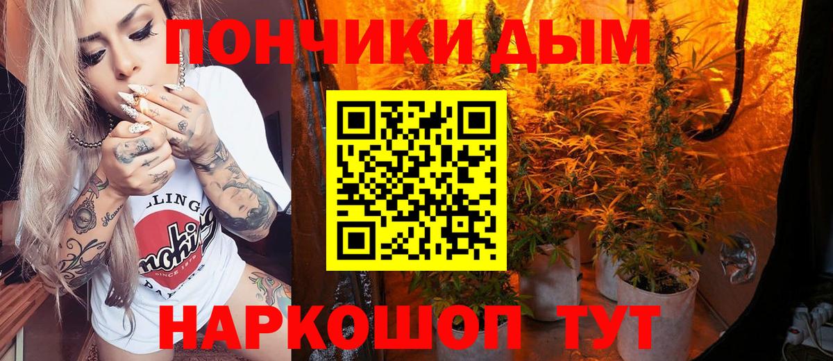 Бошки Шишки SATIVA & INDICA  МАРИХУАНА тримм  Бошки марихуана VHQ  Вход с VPN  Ессентуки  Бошки Шишки конопля 